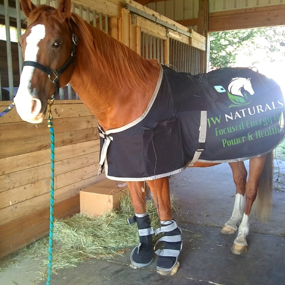 Birds and Spirit Animals Beaded Pierced Earrings - Picture 3 of 8